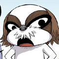 动物园真相漫画免费阅读_动物园真相在线漫画观看
