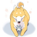 家犬和野猫漫画免费阅读_家犬和野猫在线漫画观看