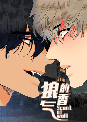 狼的香气漫画免费阅读_狼的香气在线漫画观看