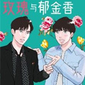 玫瑰与郁金香漫画免费阅读_玫瑰与郁金香在线漫画观看
