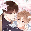 非偶然的初恋漫画免费阅读_非偶然的初恋在线漫画观看